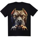 Állatos póló -  Pitbull